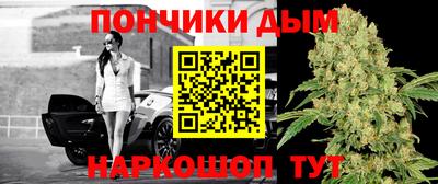 индика Славгород