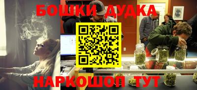 индика Славгород