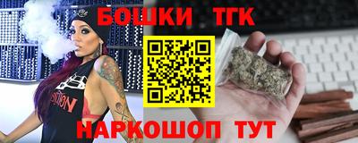 индика Славгород