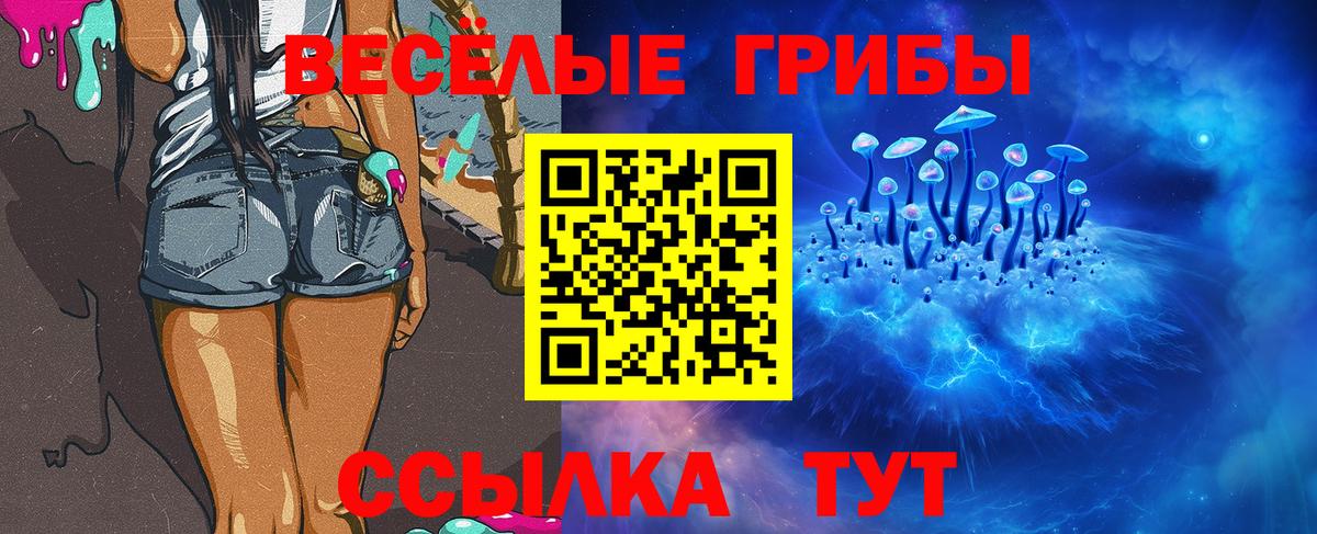 Псилоцибиновые грибы Cubensis Малгобек
