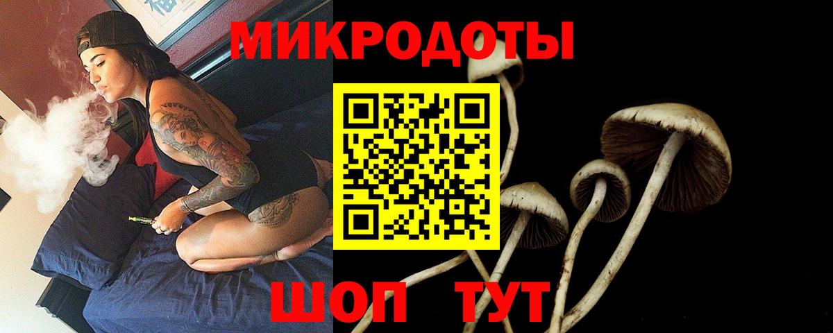 Псилоцибиновые грибы Cubensis  Вход с VPN  Малгобек 